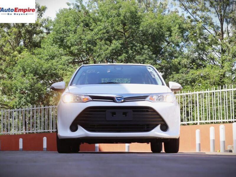 2017 Toyota Axio Hybrid